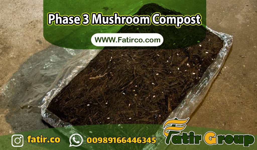 Phase 3 Mushroom Compost