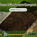 Phase 3 Mushroom Compost