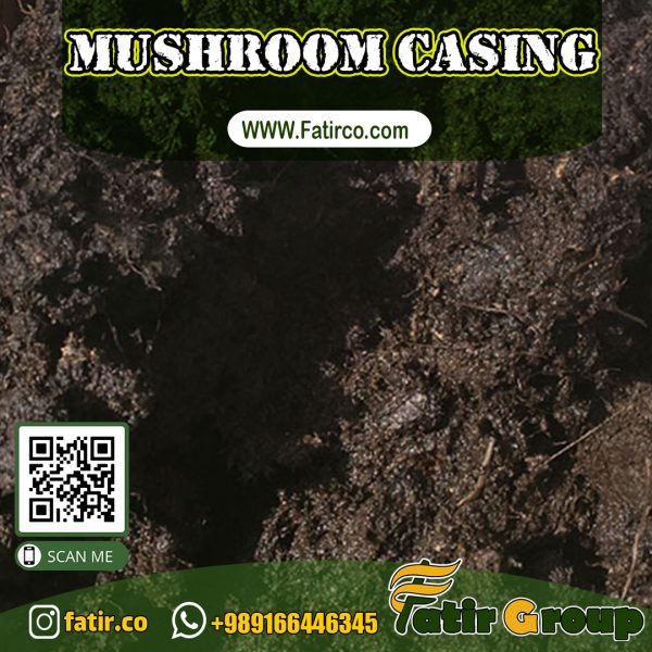 Mushroom Casing Soil | Fatir Group