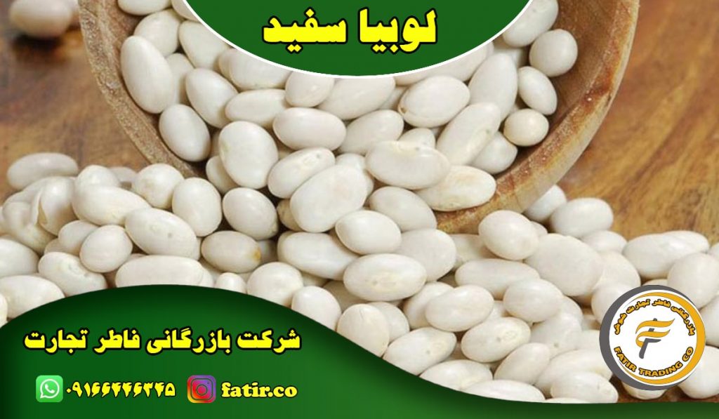 فروش لوبیا سفید خمین | گروه فاطر تجارت