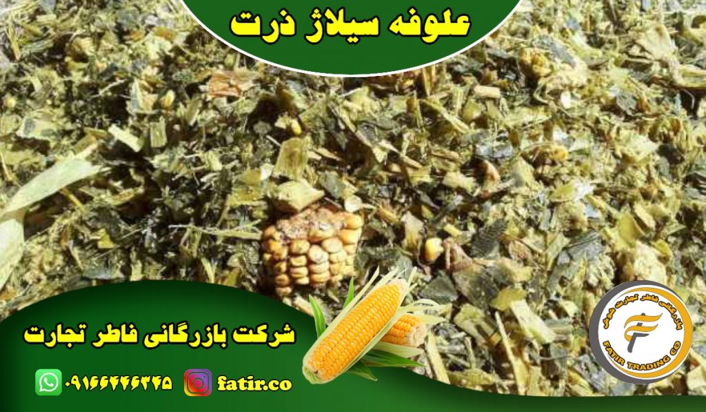 پخش عمده سیلاژ ذرت علوفه ای مرغوب خوزستان | شرکت فاطر تجارت