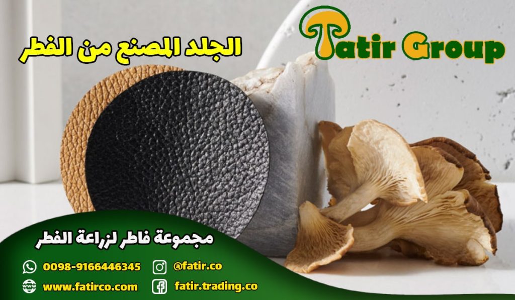 الجلد المصنع من الفطر الطبيعي!