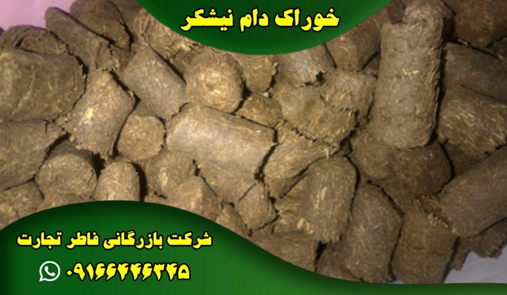 خوراک دام نیشکر