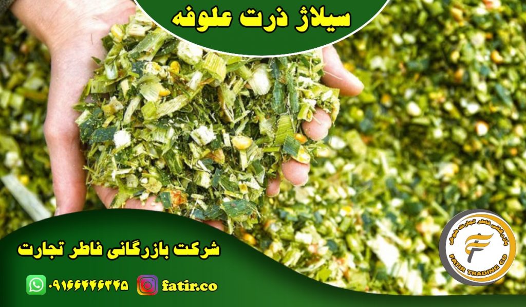 ذرت علوفه ای خوزستان | شرکت فاطر تجارت