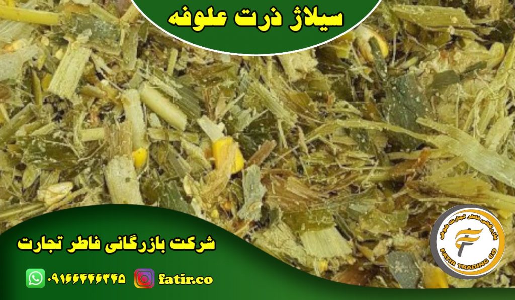 خرید ذرت علوفه عمده خوزستان | شرکت فاطر تجارت