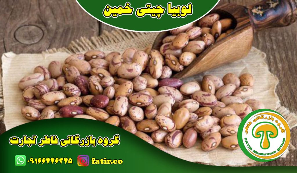 لوبیا چیتی خمین | گروه فاطر تجارت