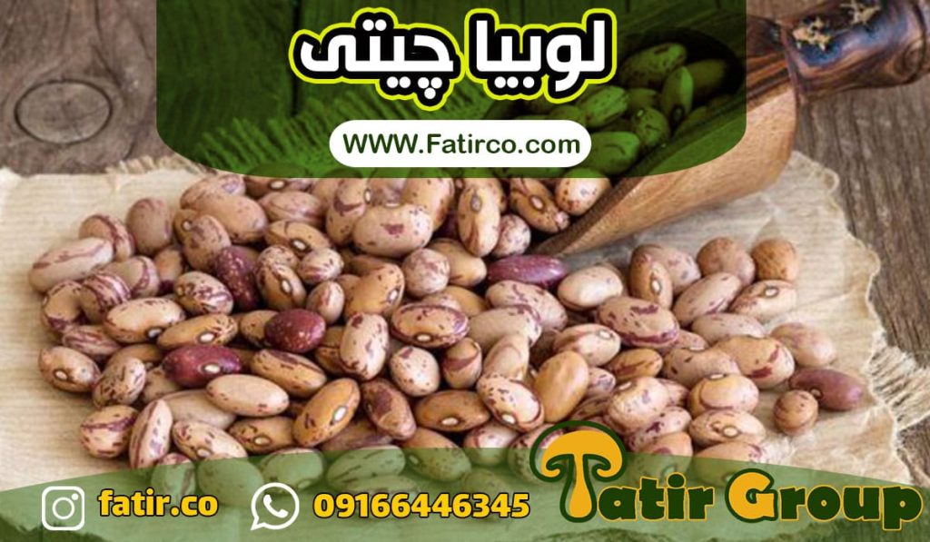 فروش عمده لوبیا چیتی خمین | گروه فاطر تجارت