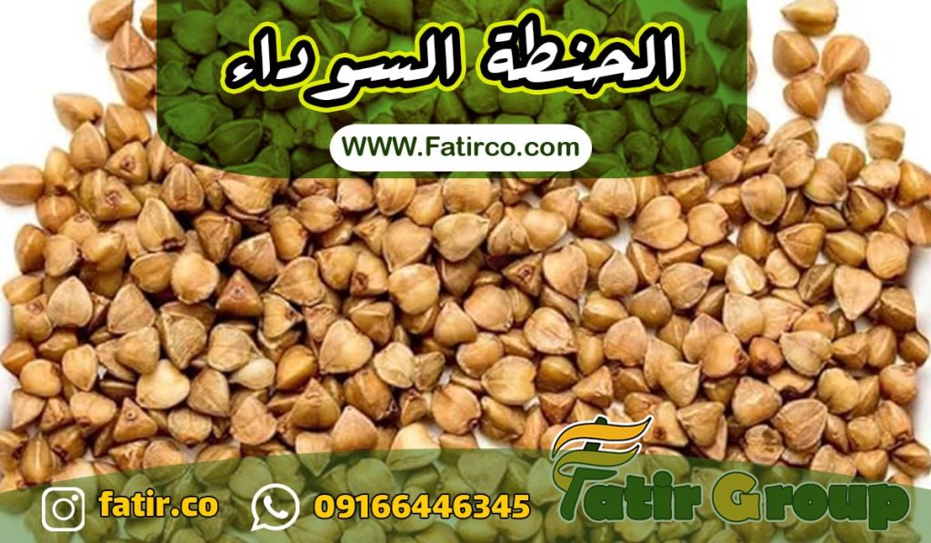 بذور الحنطة السوداء Buckwheat | شركة فاطر للتجارة