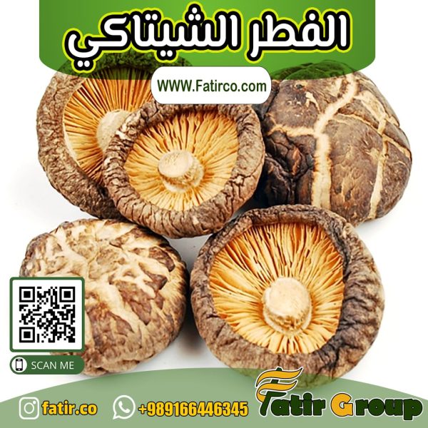 الفطر الشيتاكي (Shiitake mushroom) | مجموعة فاطر التجارية