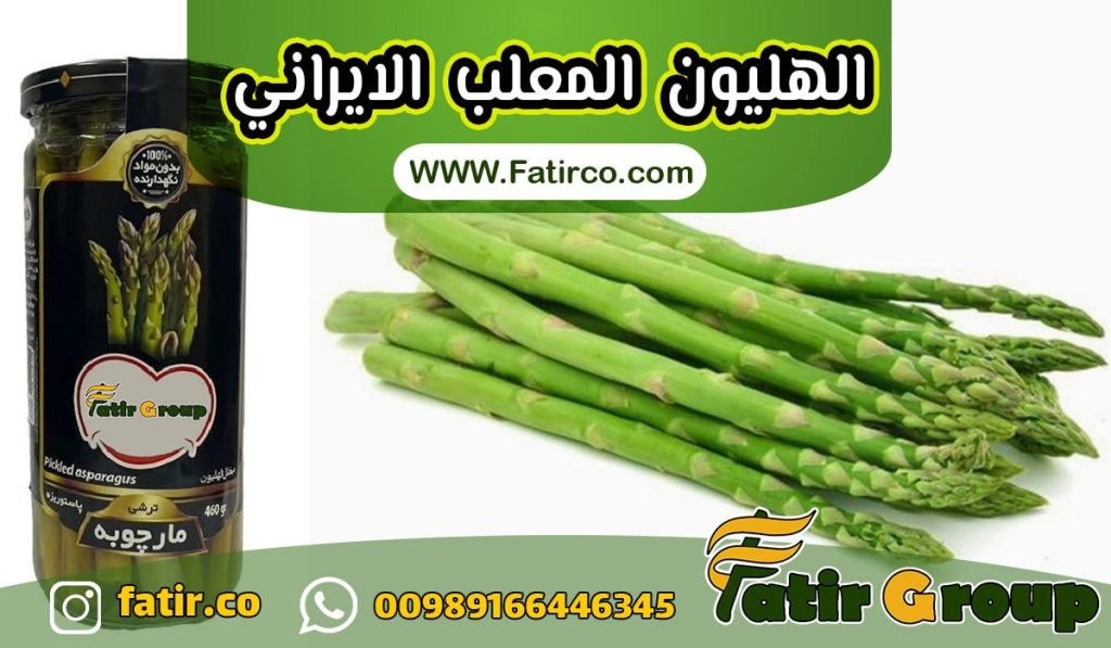 الهليون المعلب بجودة عالية Asparagus | شركة فاطر للتجارة