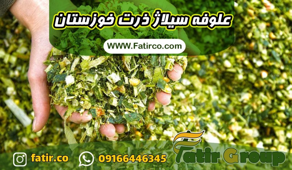 ذرت علوفه ای خوزستان | شرکت فاطر تجارت