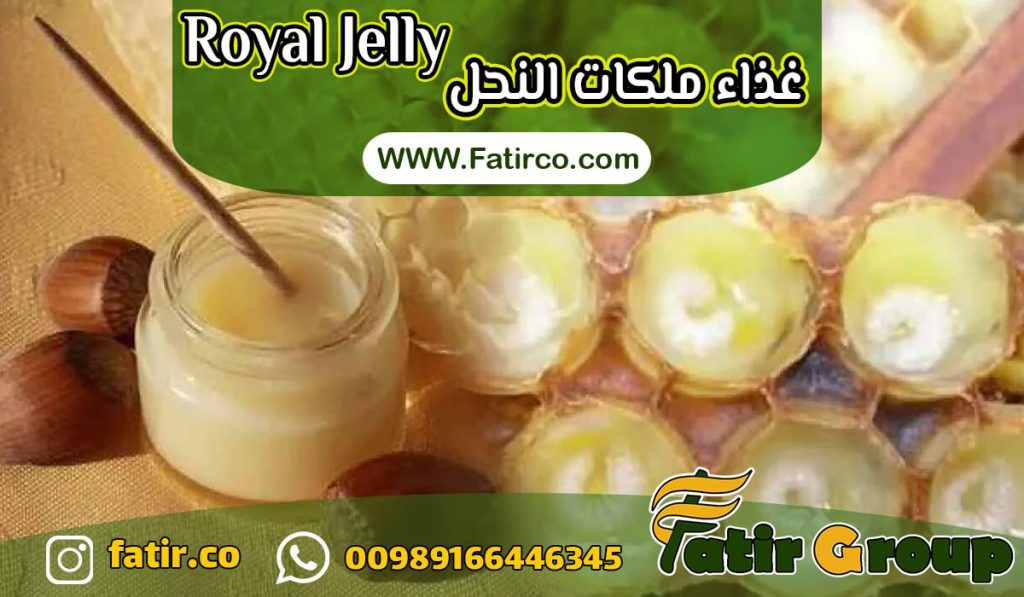 غذاء ملكات النحل Royal Jelly | شركة فاطر للتجارة